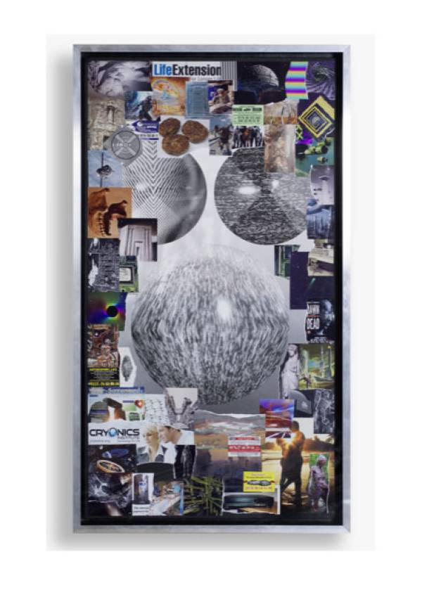 Joep van Liefland | Life extension, 2016