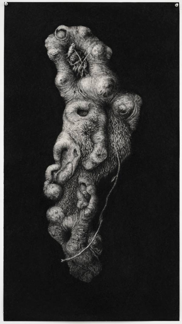 Sabina Timmermans | caressing and colliding -sharing the land, 100x60 cm