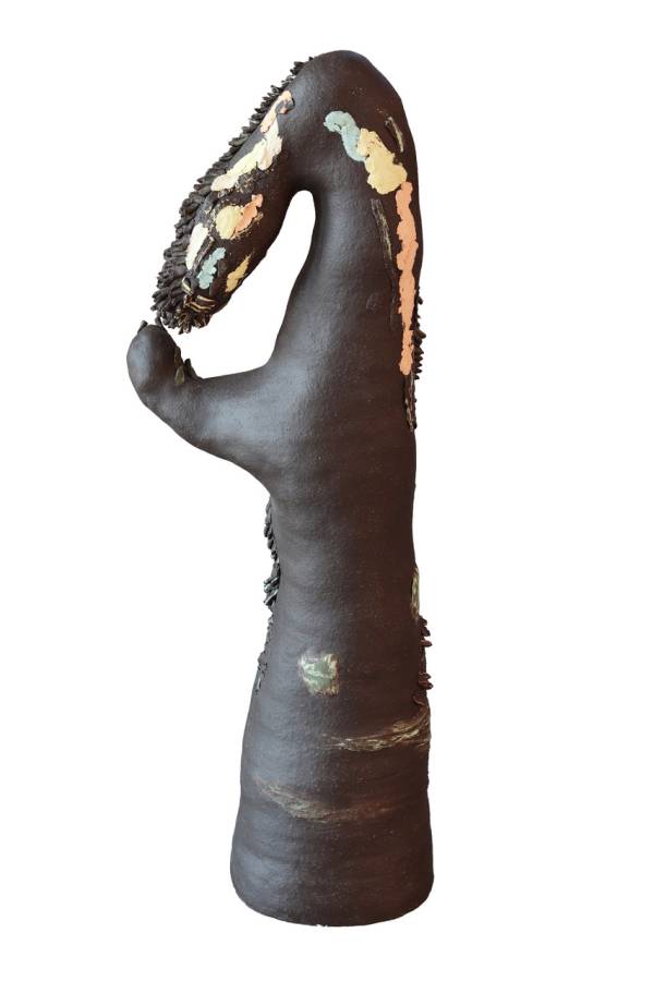 Sanne Bax | The feeling of walking through a dream in broad daylight, 2025