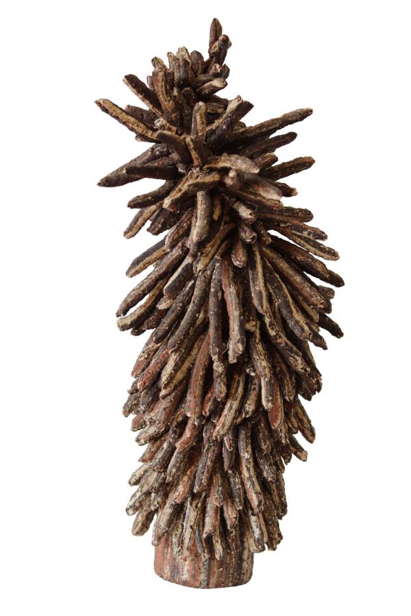 Sanne Bax | A Young Joshua Tree Among the Pines, 2025