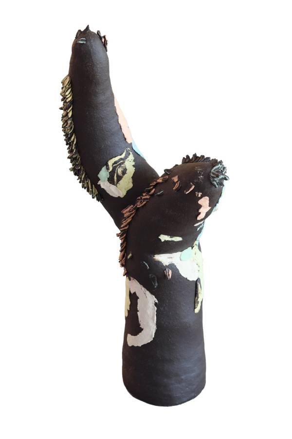 Sanne Bax | The Cactus That Showed Me the Way to a Questionable Water Source, 2025