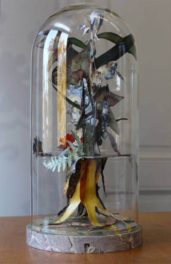 Barbara Polderman | Boom, 2008