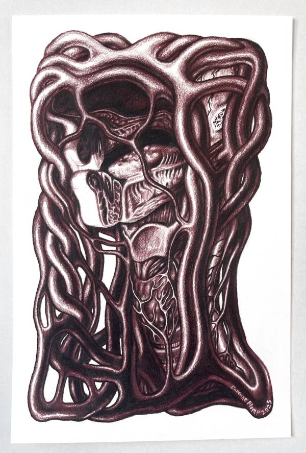 Suzanne Plomp | Carotid Arteries in Caput Mortuum, 2025