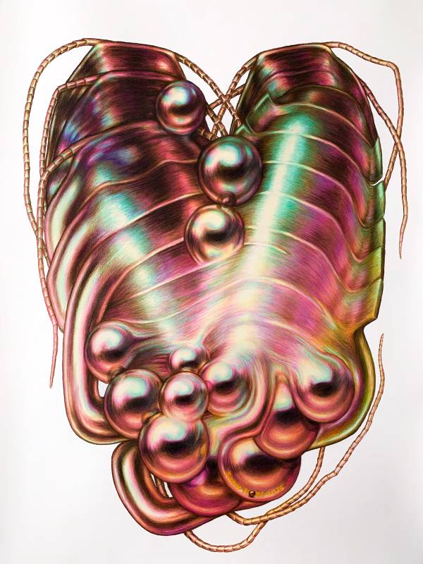 Suzanne Plomp | Tonton's heart, 2025