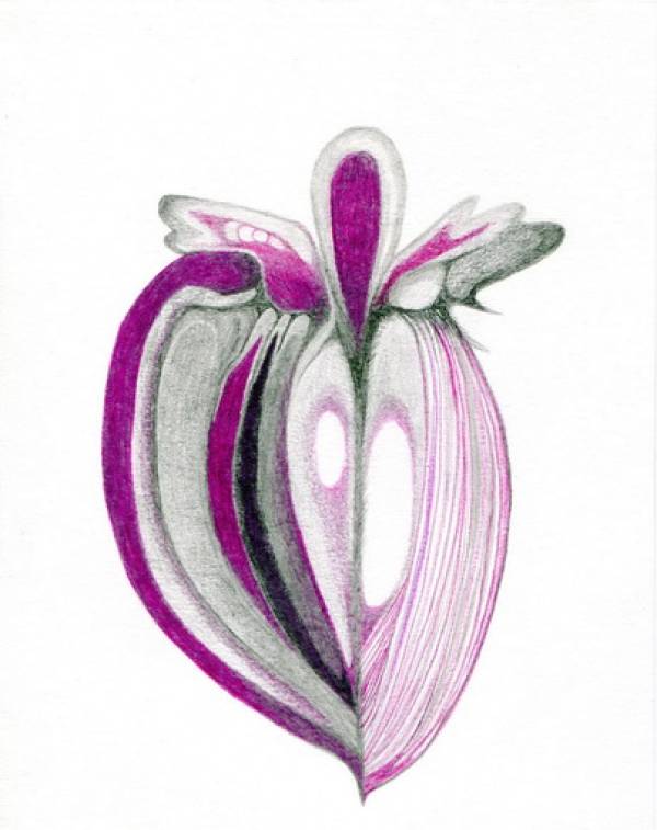 Laura Sassen | Botanica Herbarium |#5, 2011
