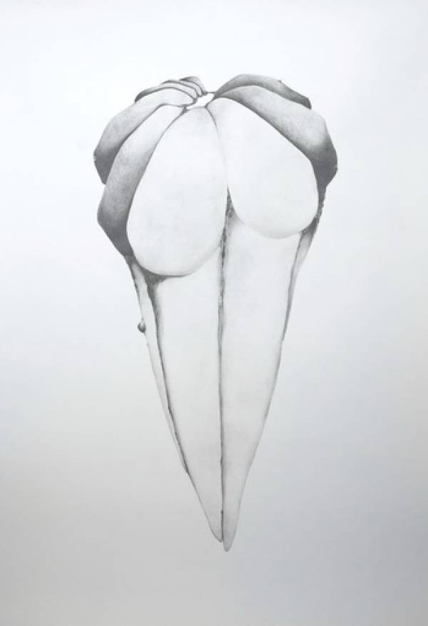 Laura Sassen | Botanica |#1, 2010