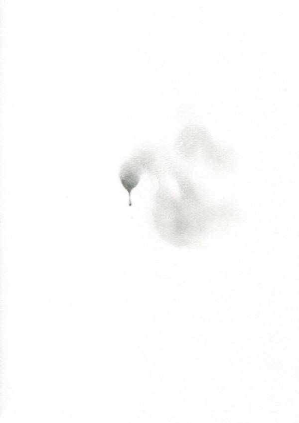 Laura Sassen | Botanica Herbarium |#9, 2011
