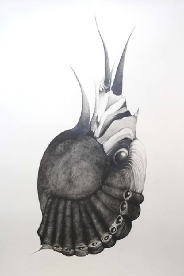 Laura Sassen | Botanica |#3, 2010