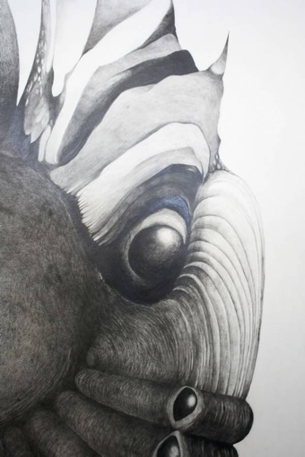 Laura Sassen | Botanica |#3, 2010 (detail)