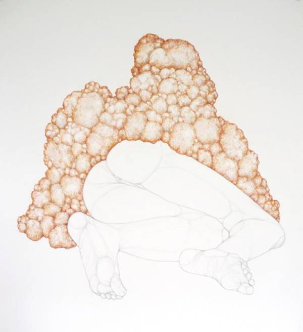 Emma van Drongelen | Barren Land, 2010