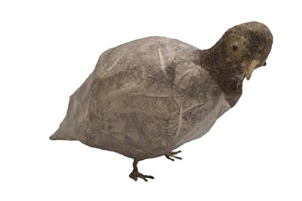 Eva Spierenburg | Vogel zonder voetvleugels, 2014