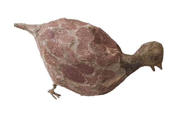 Eva Spierenburg | Vogel zonder voetvleugels, 2014