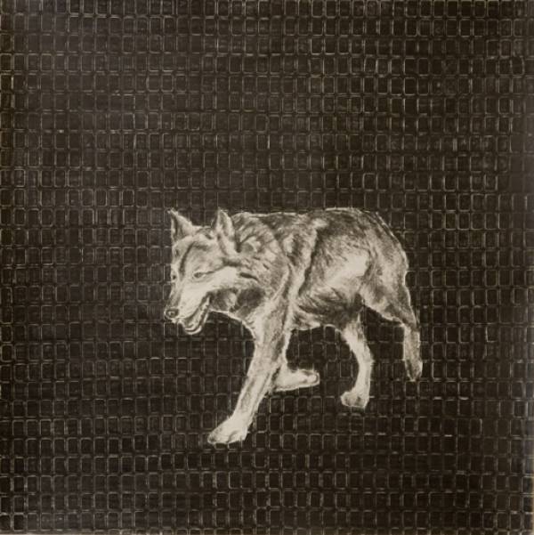 Lenneke van der Goot | Wolf (squares), 2011