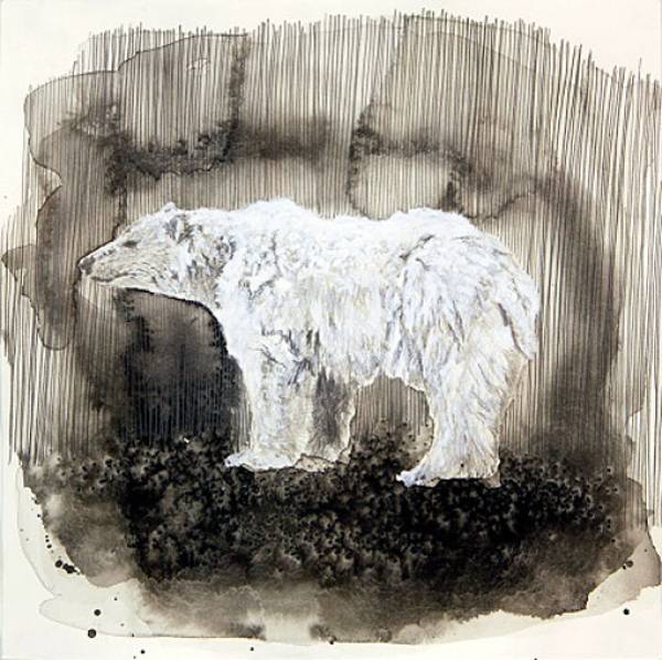 Lenneke van der Goot | Polar bear in the rain, 2010