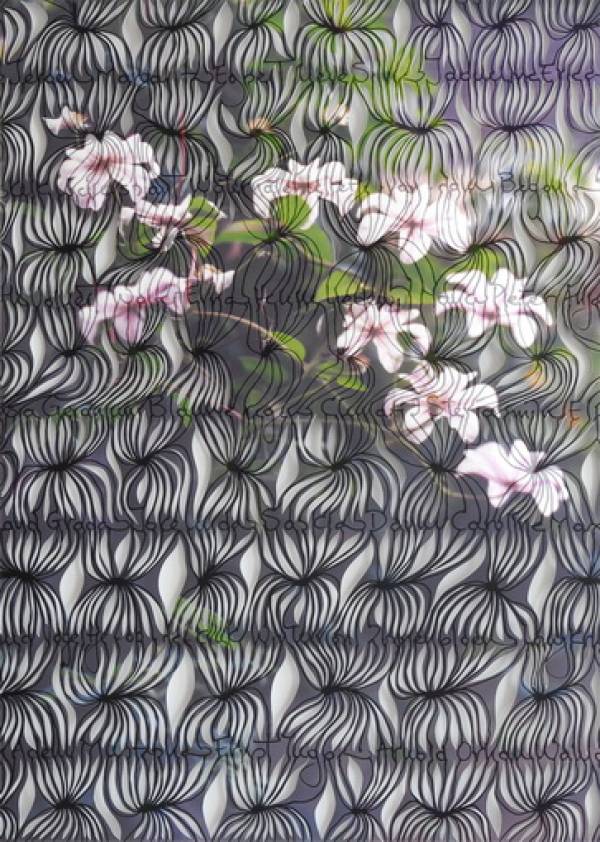 Maria Ikonomopoulou | Clematis, 2009