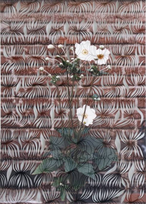 Maria Ikonomopoulou | Witte Anemone, 2009