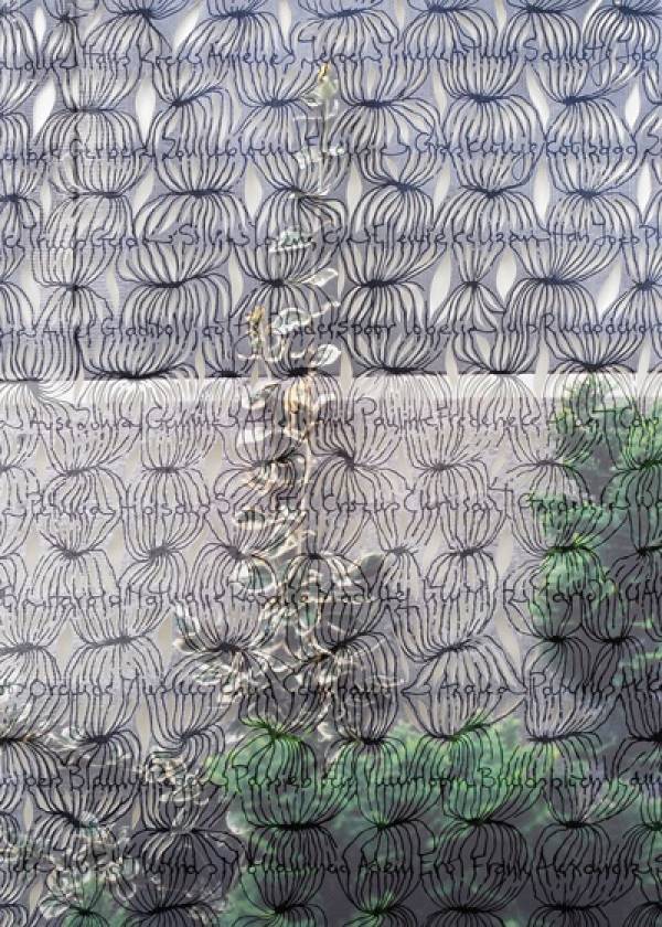 Maria Ikonomopoulou | Growing care Rotterdam euonymus, 2008