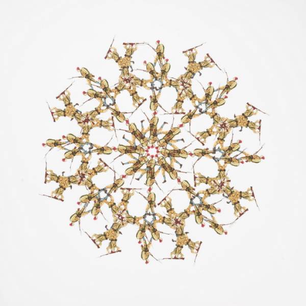 Isabel Ferrand | Mini Ice lace II, 2009