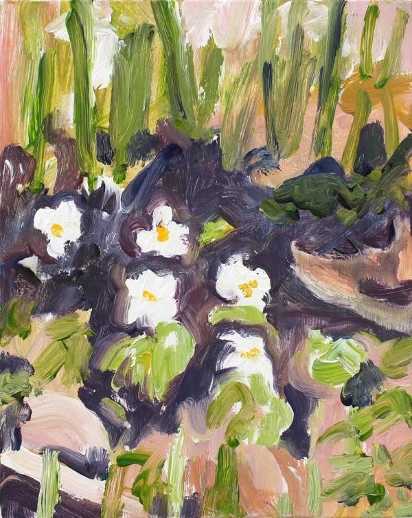 Jessica Skowroneck | vitsippor, wood anemones, 2024